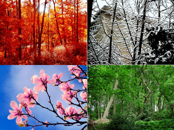 Seasons